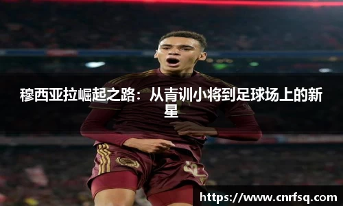 JN江南体育