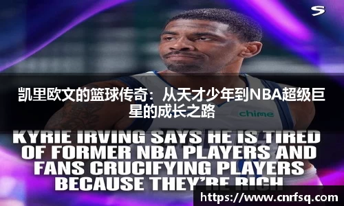 jn体育平台