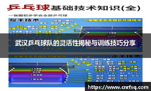 武汉乒乓球队的灵活性揭秘与训练技巧分享